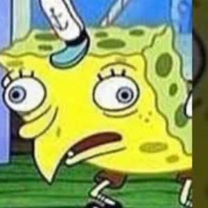 Meet your Posher, Kay